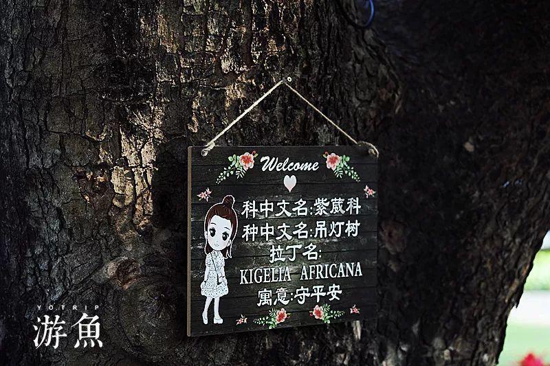 最爱巧克力纸杯蛋糕